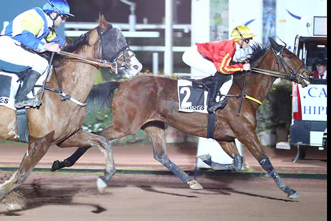 Photo d'arrivée de la course pmu PRIX SCARLET TURGOT à CAGNES-SUR-MER le Vendredi 17 février 2023