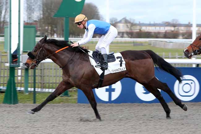 Photo d'arrivée de la course pmu PRIX DU MENHIR DES INDROLLES à CHANTILLY le Vendredi 17 février 2023