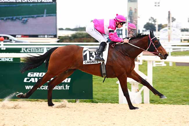Photo d'arrivée de la course pmu PRIX DE LA PROMENADE DE LA PLAGE (PRIX DES BOUCHES-DU-RHONE) à CAGNES-SUR-MER le Samedi 18 février 2023