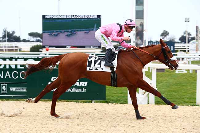 Photo d'arrivée de la course pmu GRAND PRIX DE LA VILLE DE CAGNES-SUR-MER (PRIX DE SAINT-RAPHAEL) à CAGNES-SUR-MER le Samedi 18 février 2023