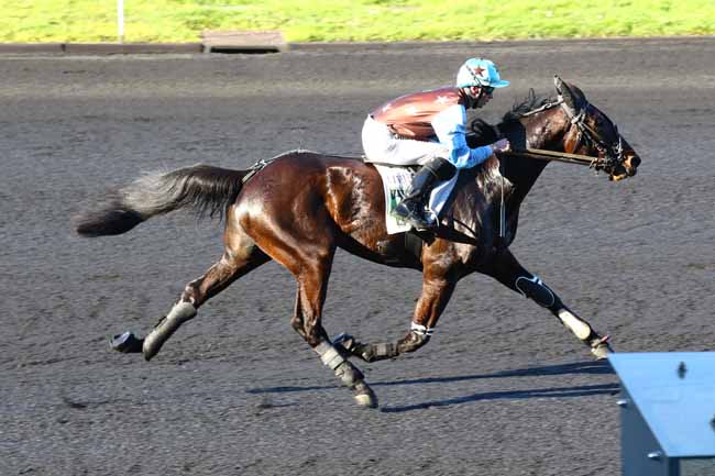 Photo d'arrivée de la course pmu PRIX DE FALOT à PARIS-VINCENNES le Lundi 20 février 2023