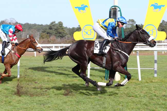 Photo d'arrivée de la course pmu PRIX GENERAL MARION à FONTAINEBLEAU le Mardi 21 février 2023