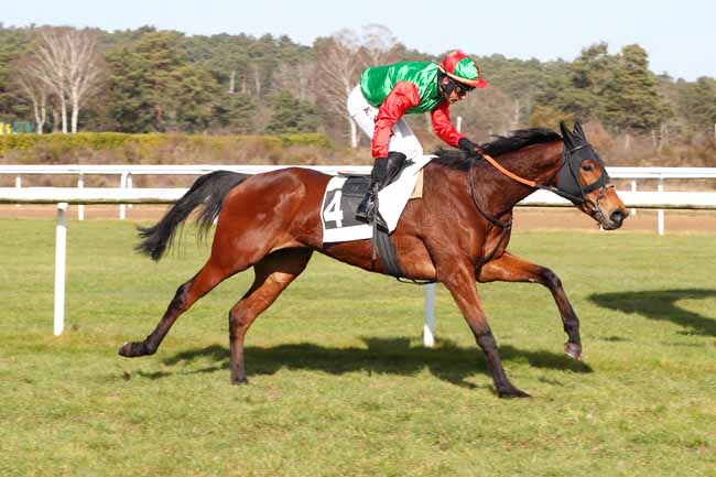 Photo d'arrivée de la course pmu PRIX DU CHAMPAGNE ROBERT GRUMIER (PRIX DU CONSEIL MUNICIPAL DE CHAILLY-EN-BIERE) à FONTAINEBLEAU le Mardi 21 février 2023