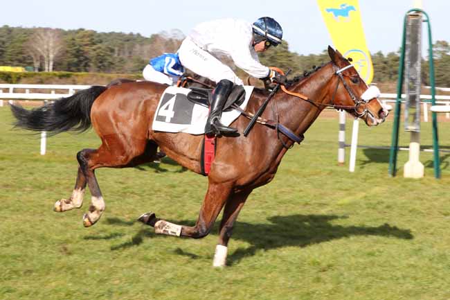 Photo d'arrivée de la course pmu PRIX ROTARY CLUB DE FONTAINEBLEAU à FONTAINEBLEAU le Mardi 21 février 2023