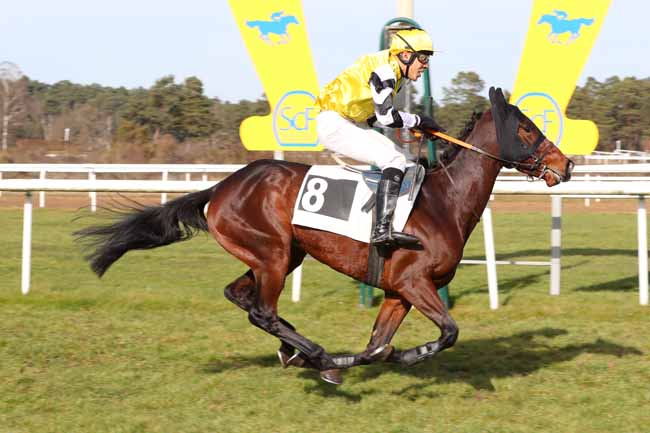 Photo d'arrivée de la course pmu PRIX DE LA SOCIETE DES COURSES DE CRAON à FONTAINEBLEAU le Mardi 21 février 2023