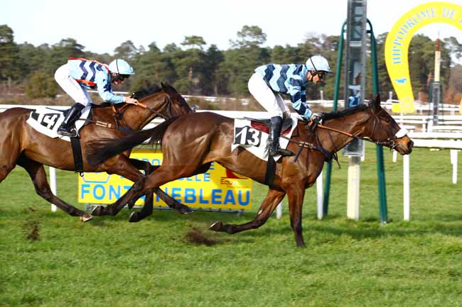 Photo d'arrivée de la course pmu PRIX DES HARAS NATIONAUX à FONTAINEBLEAU le Mardi 21 février 2023
