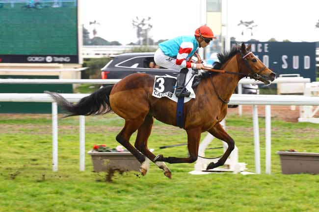 Photo d'arrivée de la course pmu PRIX DES ISSAMBRES à CAGNES-SUR-MER le Mercredi 22 février 2023