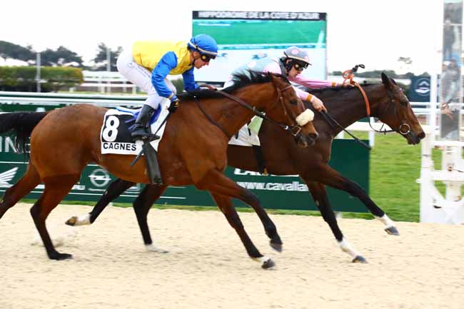 Photo d'arrivée de la course pmu PRIX DE LA MARJOLAINE à CAGNES-SUR-MER le Mercredi 22 février 2023