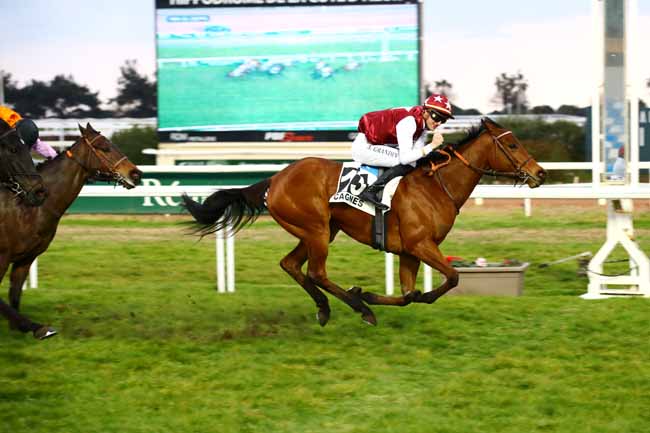 Photo d'arrivée de la course pmu PRIX DE DIEPPE à CAGNES-SUR-MER le Mercredi 22 février 2023