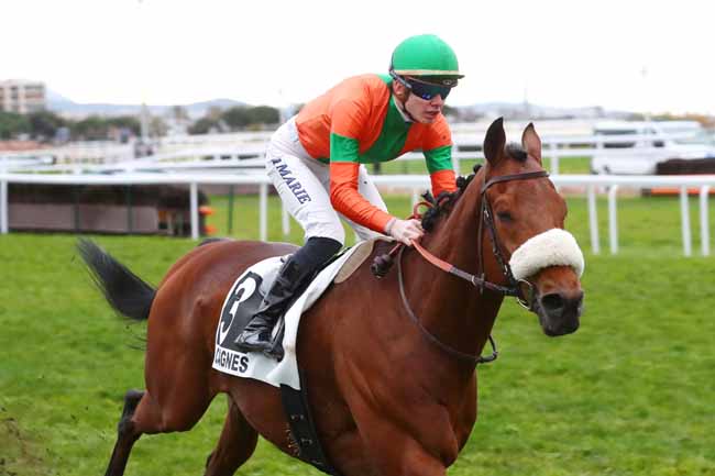 Photo d'arrivée de la course pmu PRIX DE VENCE à CAGNES-SUR-MER le Lundi 27 février 2023