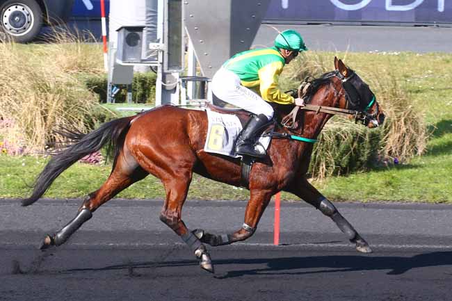 Photo d'arrivée de la course pmu PRIX DE DRAGUIGNAN à PARIS-VINCENNES le Mardi 28 février 2023