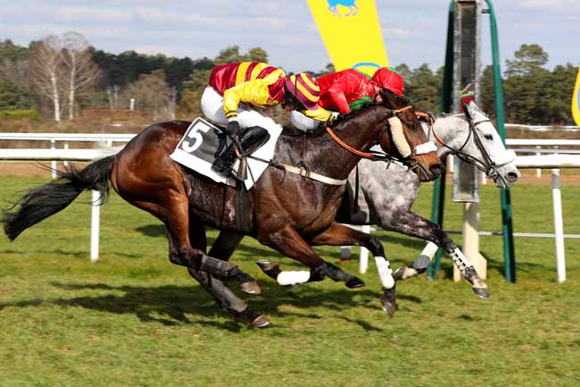 Photo d'arrivée de la course pmu PRIX DU MONT-CHAUVET à FONTAINEBLEAU le Mardi 28 février 2023