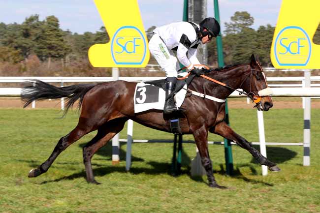 Photo d'arrivée de la course pmu PRIX DES DAGUETS à FONTAINEBLEAU le Mardi 28 février 2023