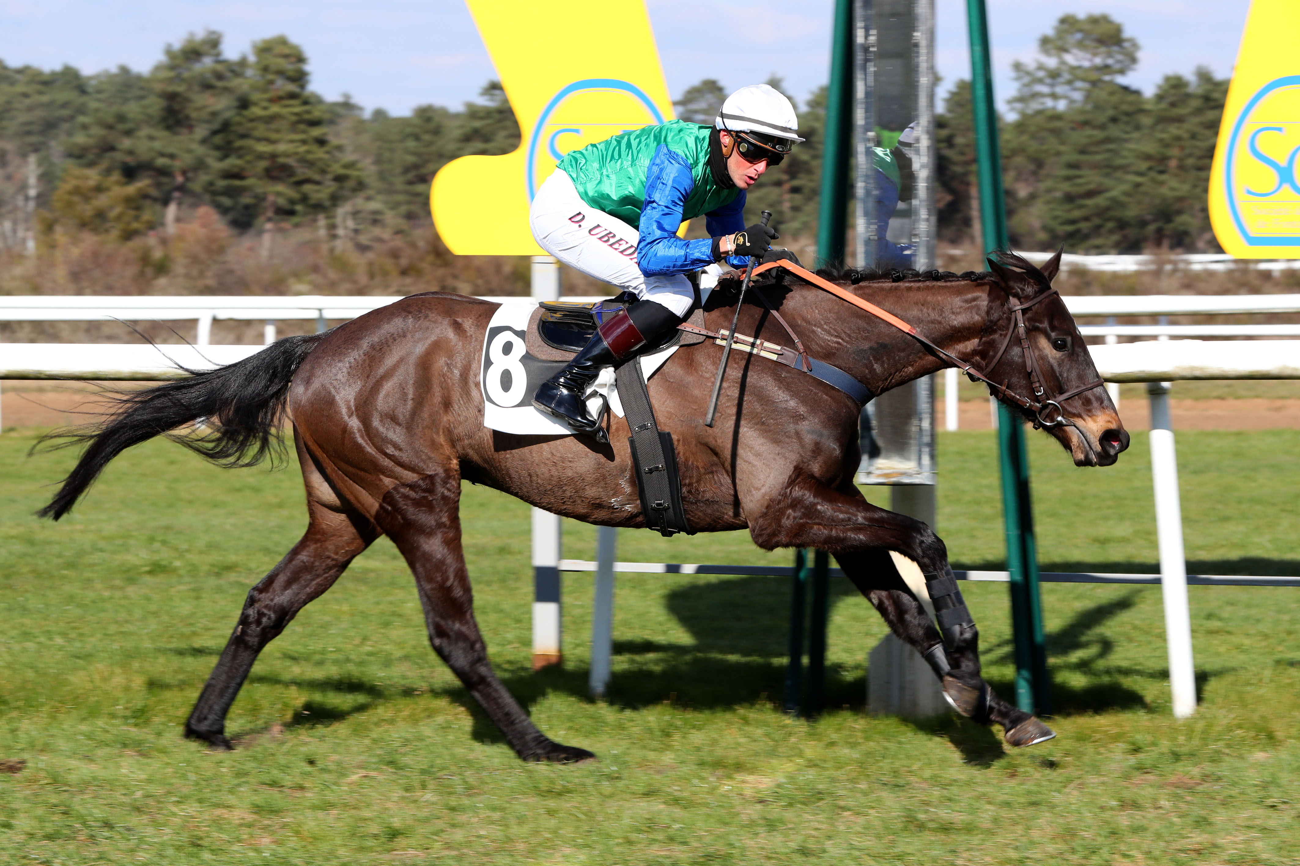 Photo d'arrivée de la course pmu PRIX JACQUES GELIOT à FONTAINEBLEAU le Mardi 28 février 2023