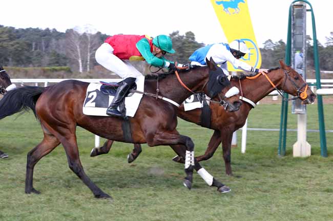 Photo d'arrivée de la course pmu PRIX DE LA SOCIETE DES COURSES DE DIEPPE à FONTAINEBLEAU le Mardi 28 février 2023
