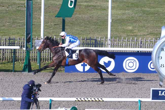 Photo d'arrivée de la course pmu PRIX DE LA BROUTILLERIE à CHANTILLY le Mercredi 1 mars 2023