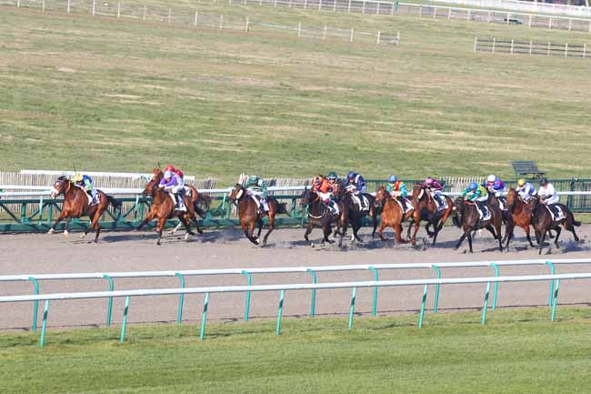 Photo d'arrivée de la course pmu PRIX DE L'ALLEE DU PONT-AU-ROI à CHANTILLY le Mercredi 1 mars 2023