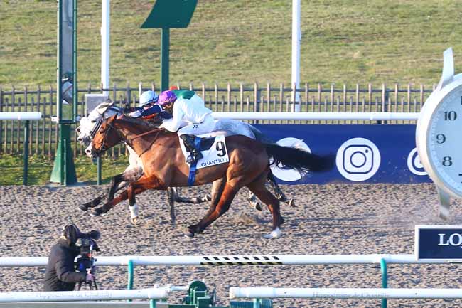 Photo d'arrivée de la course pmu PRIX DU CHENE POUILLEUX à CHANTILLY le Mercredi 1 mars 2023