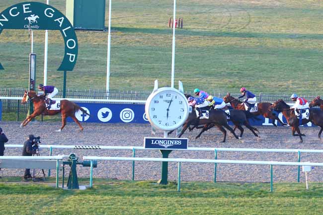 Photo d'arrivée de la course pmu PRIX DE L'ALLEE QUINCONCE à CHANTILLY le Mercredi 1 mars 2023
