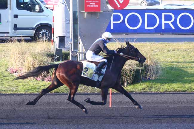 Photo d'arrivée de la course pmu PRIX D'ALENCON à PARIS-VINCENNES le Jeudi 2 mars 2023
