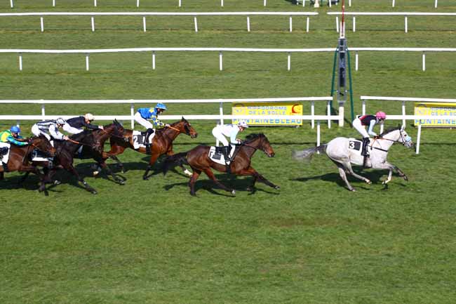 Photo d'arrivée de la course pmu PRIX DES IFS (CHAMPIONNAT 