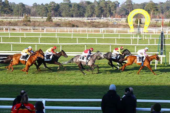 Photo d'arrivée de la course pmu PRIX DE BOIS-LE-ROI à FONTAINEBLEAU le Vendredi 3 mars 2023