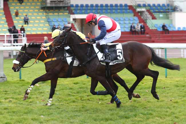 Photo d'arrivée de la course pmu PRIX DE LA SOMME à COMPIEGNE le Mardi 7 mars 2023