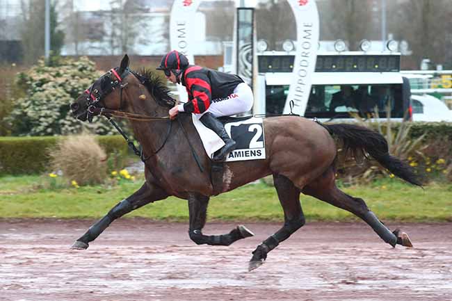 Photo d'arrivée de la course pmu PRIX MOET ET CHANDON à AMIENS le Mercredi 8 mars 2023