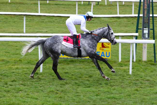 Photo d'arrivée de la course pmu PRIX GEORGES SANDOR - HANDICAP CHALLENGE à FONTAINEBLEAU le Mercredi 8 mars 2023