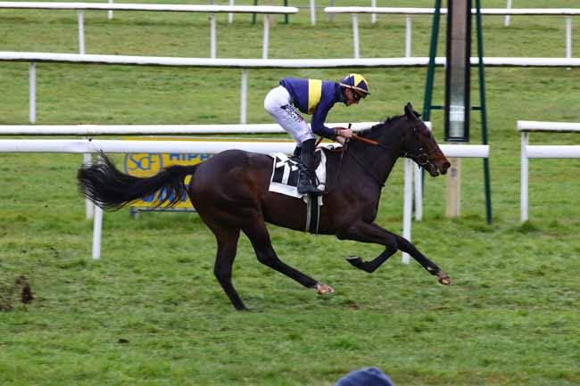 Photo d'arrivée de la course pmu PRIX DES GRANDS CERFS à FONTAINEBLEAU le Mercredi 8 mars 2023
