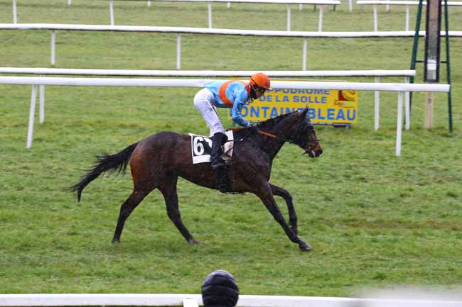 Photo d'arrivée de la course pmu PRIX DES ROCHERS DE FONTAINEBLEAU à FONTAINEBLEAU le Mercredi 8 mars 2023