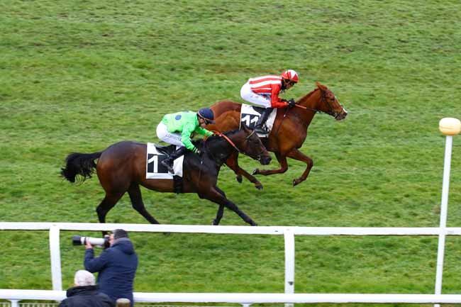 Photo d'arrivée de la course pmu PRIX DE L'HIPPODROME DE RAMBOUILLET à FONTAINEBLEAU le Mercredi 8 mars 2023