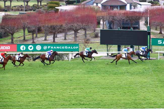 Photo d'arrivée de la course pmu PRIX GRIS PERLE à SAINT CLOUD le Jeudi 9 mars 2023
