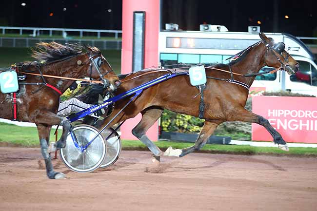 Photo d'arrivée de la course pmu PRIX DES ARDENNES à ENGHIEN le Vendredi 10 mars 2023