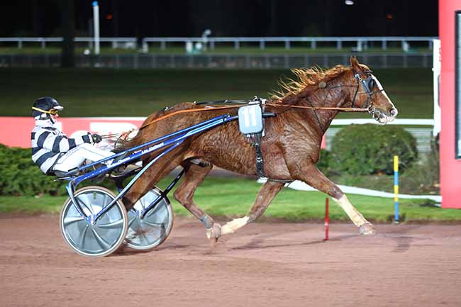 Photo d'arrivée de la course pmu PRIX DE SANARY-SUR-MER à ENGHIEN le Vendredi 10 mars 2023