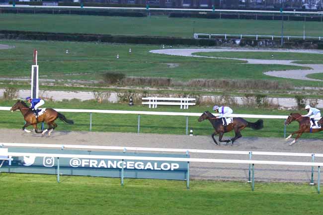 Photo d'arrivée de la course pmu PRIX DE LA COUR BLANCHE à DEAUVILLE le Samedi 11 mars 2023