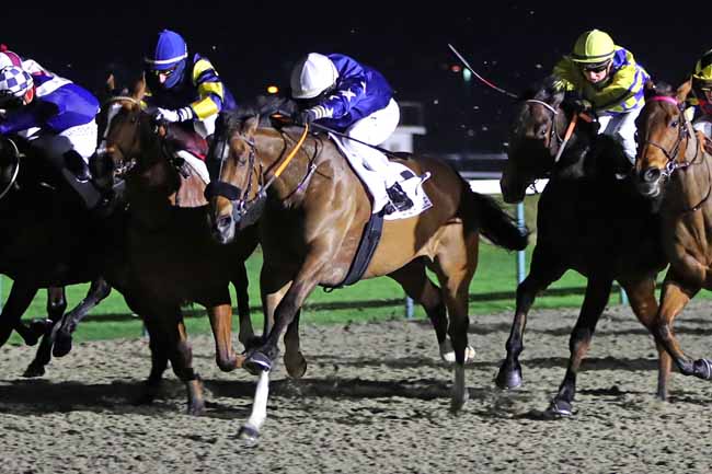 Photo d'arrivée de la course pmu PRIX DU MOULIN BRULE à DEAUVILLE le Samedi 11 mars 2023
