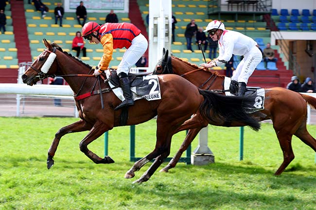 Photo d'arrivée de la course pmu PRIX DU CARREFOUR DE L'OBELISQUE à COMPIEGNE le Mardi 14 mars 2023