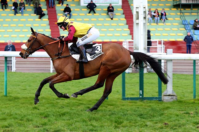 Photo d'arrivée de la course pmu PRIX STRADA à COMPIEGNE le Mardi 14 mars 2023