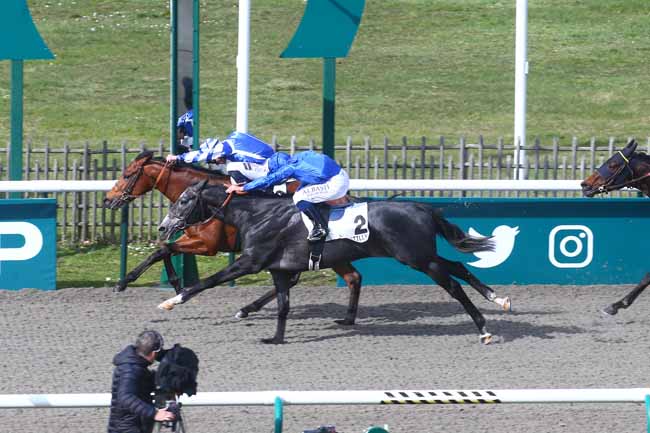 Photo d'arrivée de la course pmu PRIX TANDEM à CHANTILLY le Mercredi 15 mars 2023