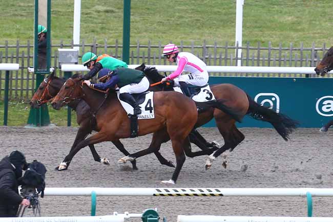 Photo d'arrivée de la course pmu PRIX DE LA ROUTE MILLARD à CHANTILLY le Mercredi 15 mars 2023