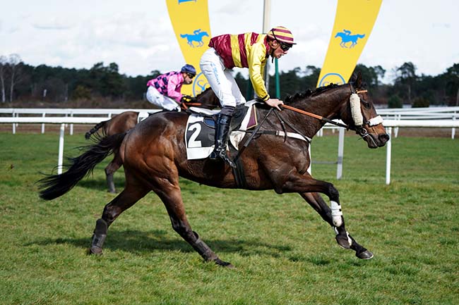 Photo d'arrivée de la course pmu PRIX DE NEMOURS à FONTAINEBLEAU le Mercredi 15 mars 2023