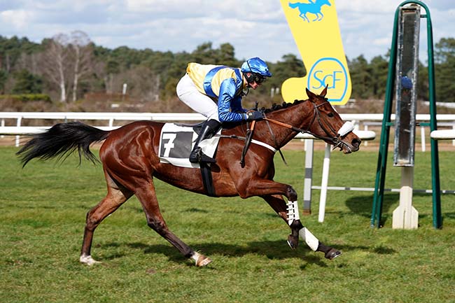 Photo d'arrivée de la course pmu PRIX COLONEL LAPADU-HARGUES à FONTAINEBLEAU le Mercredi 15 mars 2023