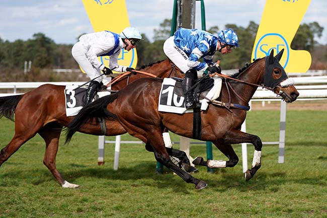 Photo d'arrivée de la course pmu PRIX DE LA TILLAIE à FONTAINEBLEAU le Mercredi 15 mars 2023
