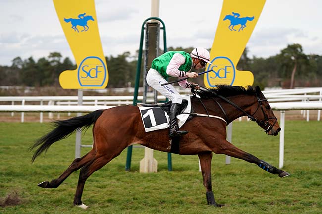 Photo d'arrivée de la course pmu PRIX JEAN SOUILHE à FONTAINEBLEAU le Mercredi 15 mars 2023