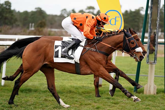 Photo d'arrivée de la course pmu PRIX GAUTIER DE LA SELLE à FONTAINEBLEAU le Mercredi 15 mars 2023