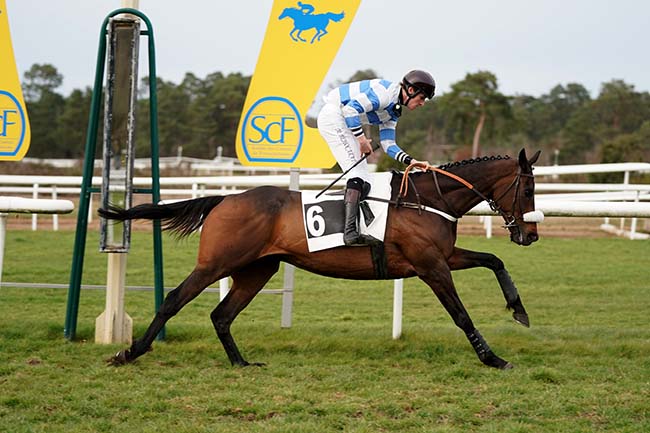Photo d'arrivée de la course pmu PRIX DE LA SOCIETE DES COURSES DU PIN à FONTAINEBLEAU le Mercredi 15 mars 2023