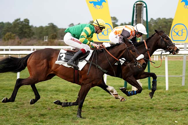 Photo d'arrivée de la course pmu PRIX DE DAMMARIE LES LYS à FONTAINEBLEAU le Mercredi 15 mars 2023