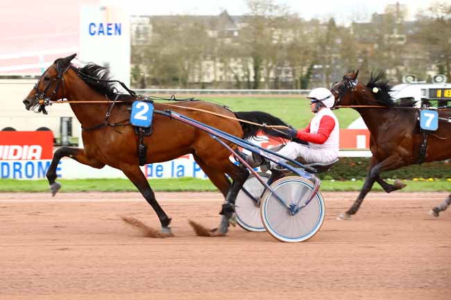Photo d'arrivée de la course pmu PRIX DE CANAPVILLE à CAEN le Jeudi 16 mars 2023