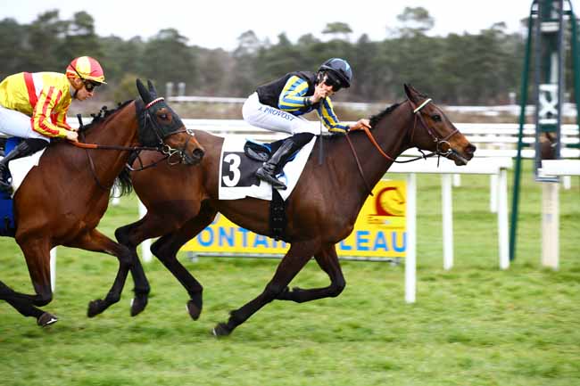 Photo d'arrivée de la course pmu PRIX DES BOULEAUX à FONTAINEBLEAU le Vendredi 17 mars 2023
